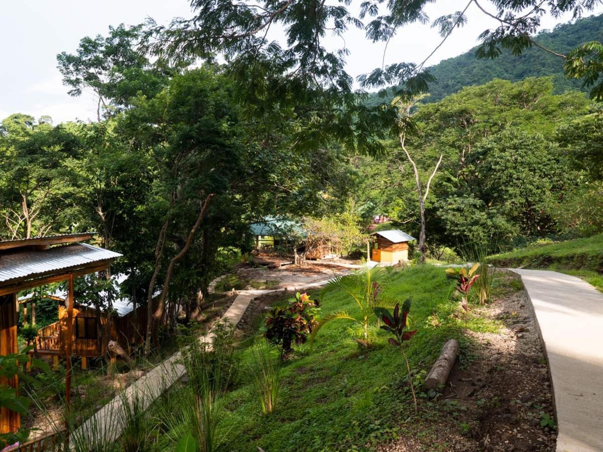 Finca Colibri Ecolodges En Pleine Nature Ferry Playa Najanjo Costa Rica Cabo Blanco Buitenkant foto