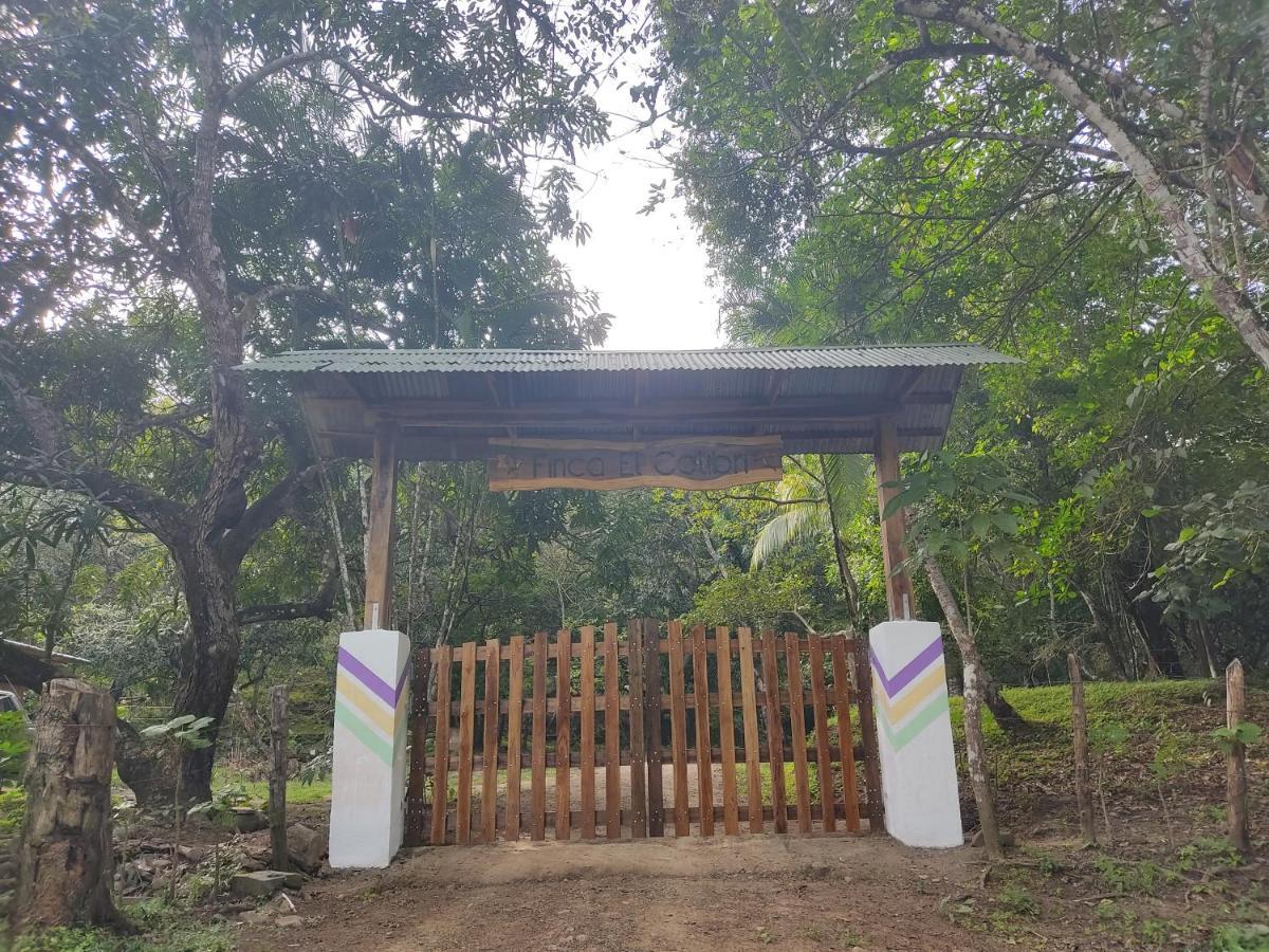 Finca Colibri Ecolodges En Pleine Nature Ferry Playa Najanjo Costa Rica Cabo Blanco Buitenkant foto