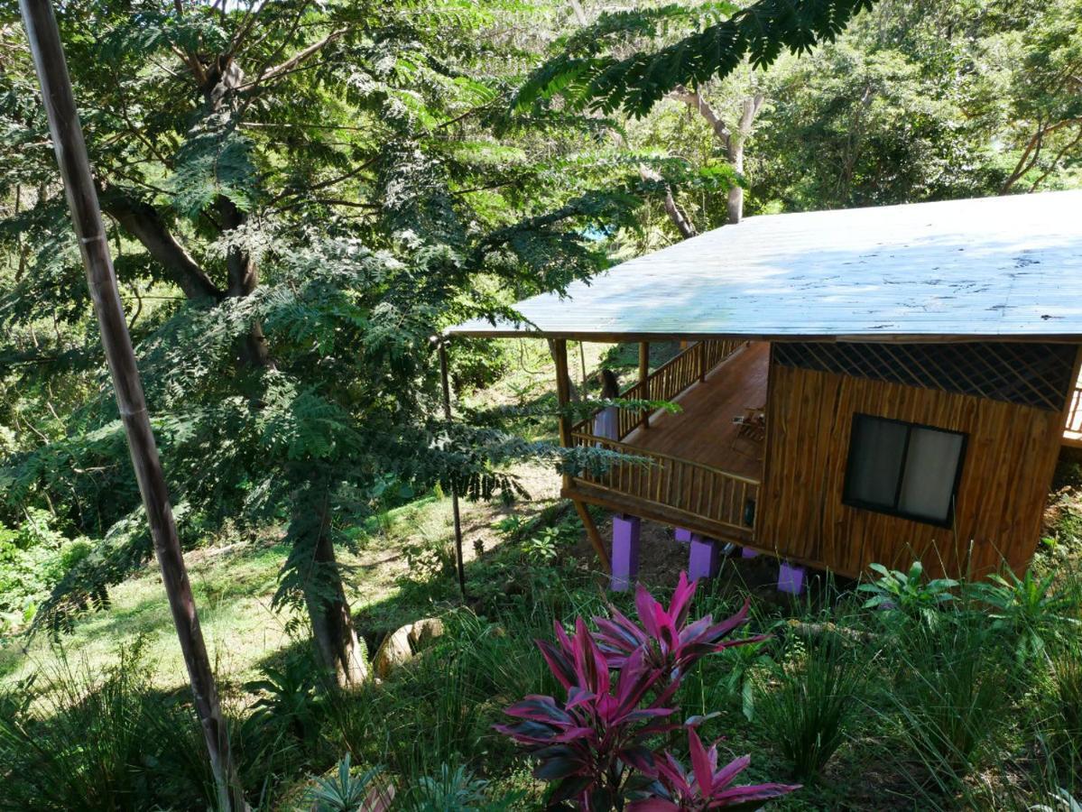 Finca Colibri Ecolodges En Pleine Nature Ferry Playa Najanjo Costa Rica Cabo Blanco Buitenkant foto