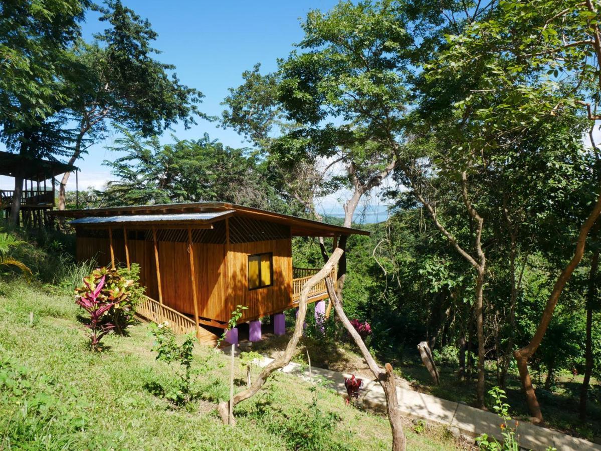 Finca Colibri Ecolodges En Pleine Nature Ferry Playa Najanjo Costa Rica Cabo Blanco Buitenkant foto
