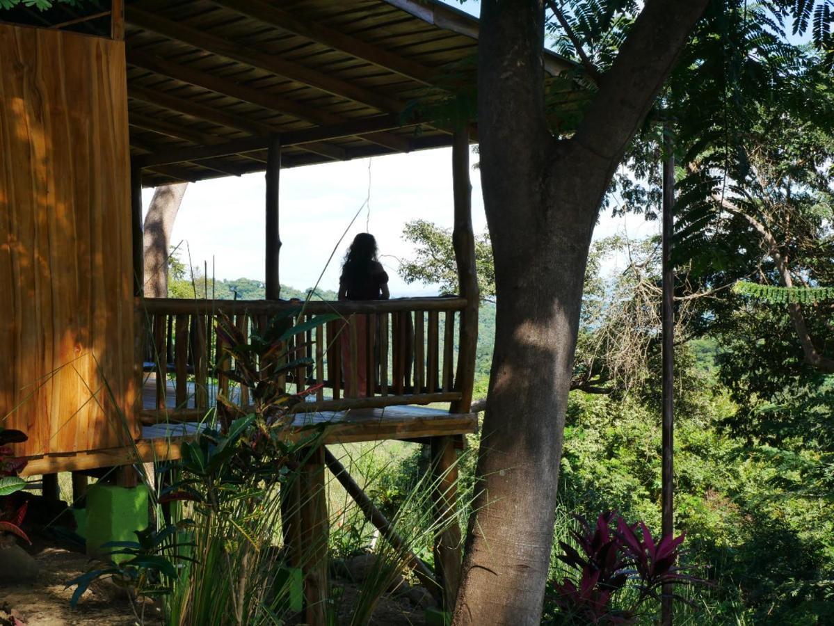 Finca Colibri Ecolodges En Pleine Nature Ferry Playa Najanjo Costa Rica Cabo Blanco Buitenkant foto