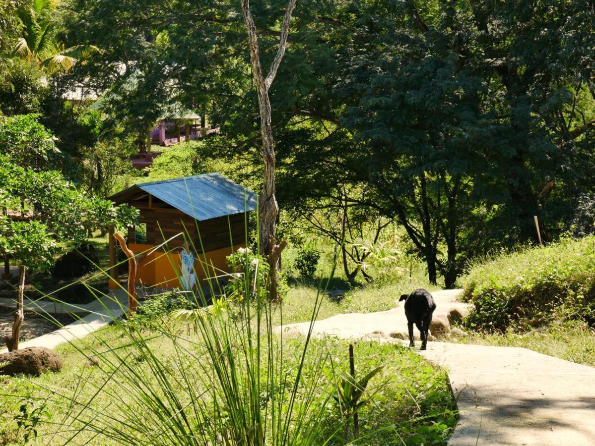 Finca Colibri Ecolodges En Pleine Nature Ferry Playa Najanjo Costa Rica Cabo Blanco Buitenkant foto