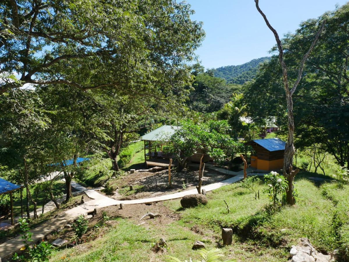 Finca Colibri Ecolodges En Pleine Nature Ferry Playa Najanjo Costa Rica Cabo Blanco Buitenkant foto