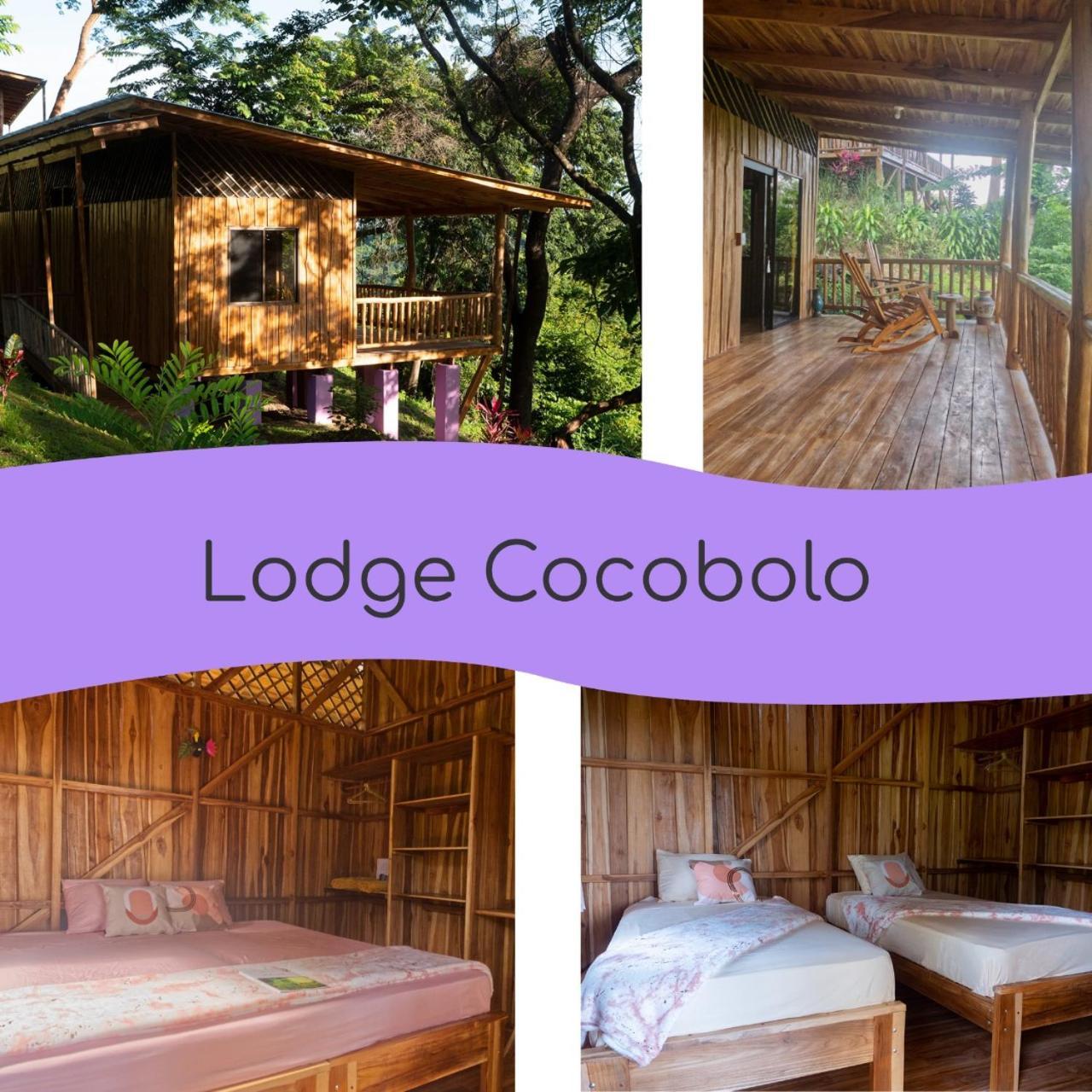 Finca Colibri Ecolodges En Pleine Nature Ferry Playa Najanjo Costa Rica Cabo Blanco Buitenkant foto