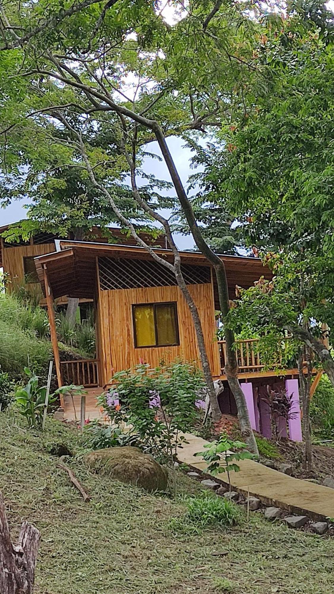 Finca Colibri Ecolodges En Pleine Nature Ferry Playa Najanjo Costa Rica Cabo Blanco Buitenkant foto