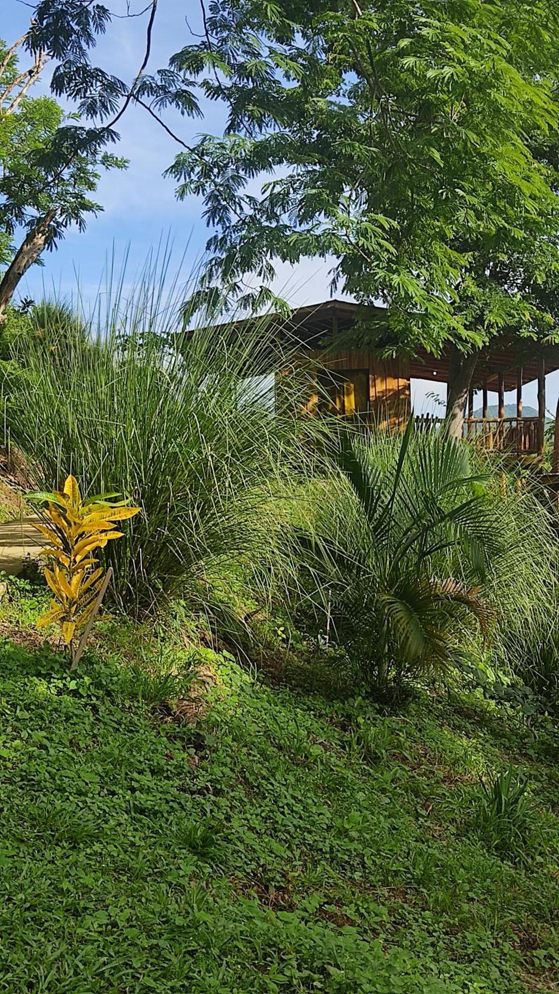 Finca Colibri Ecolodges En Pleine Nature Ferry Playa Najanjo Costa Rica Cabo Blanco Buitenkant foto