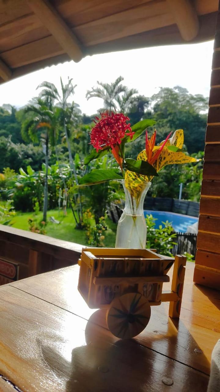 Finca Colibri Ecolodges En Pleine Nature Ferry Playa Najanjo Costa Rica Cabo Blanco Buitenkant foto