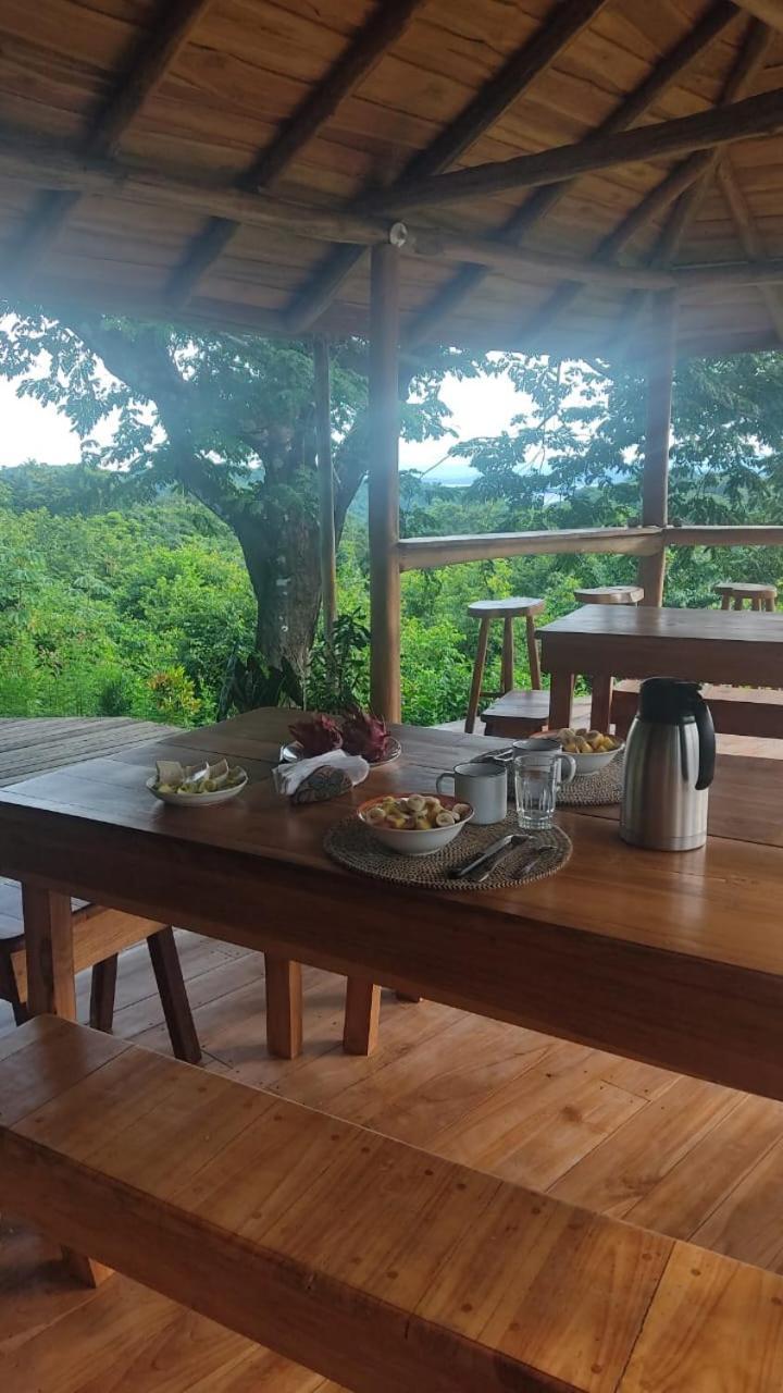 Finca Colibri Ecolodges En Pleine Nature Ferry Playa Najanjo Costa Rica Cabo Blanco Buitenkant foto
