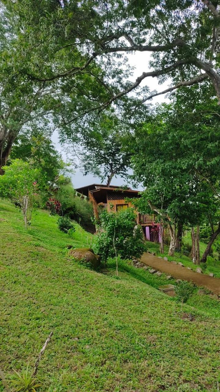 Finca Colibri Ecolodges En Pleine Nature Ferry Playa Najanjo Costa Rica Cabo Blanco Buitenkant foto