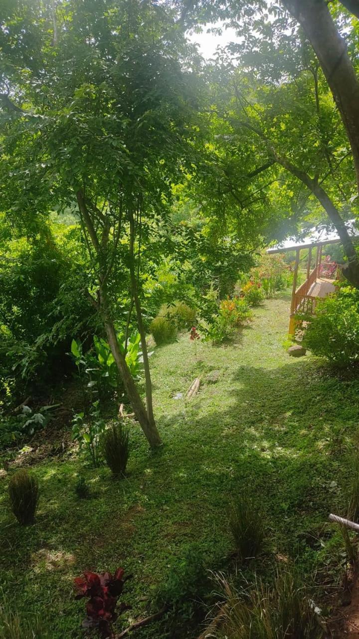 Finca Colibri Ecolodges En Pleine Nature Ferry Playa Najanjo Costa Rica Cabo Blanco Buitenkant foto