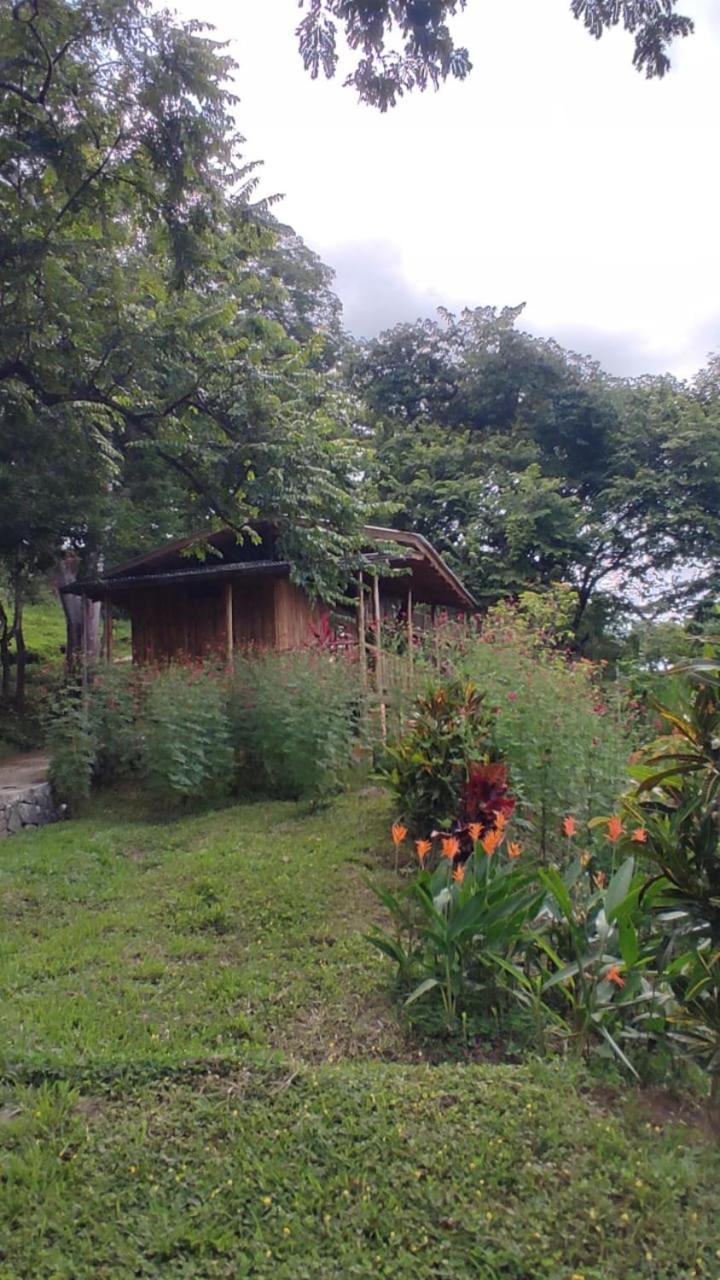 Finca Colibri Ecolodges En Pleine Nature Ferry Playa Najanjo Costa Rica Cabo Blanco Buitenkant foto